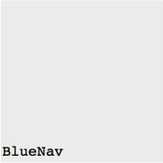 Photo of BlueNav Photo of BlueNav